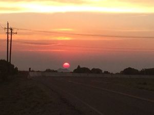 10653289_871924486158823_4509073705983919296_n[1]